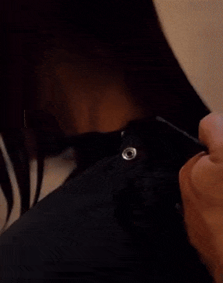 woman-getting-hair-color-at-salon